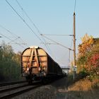 Herbstlicher Nachschuss...