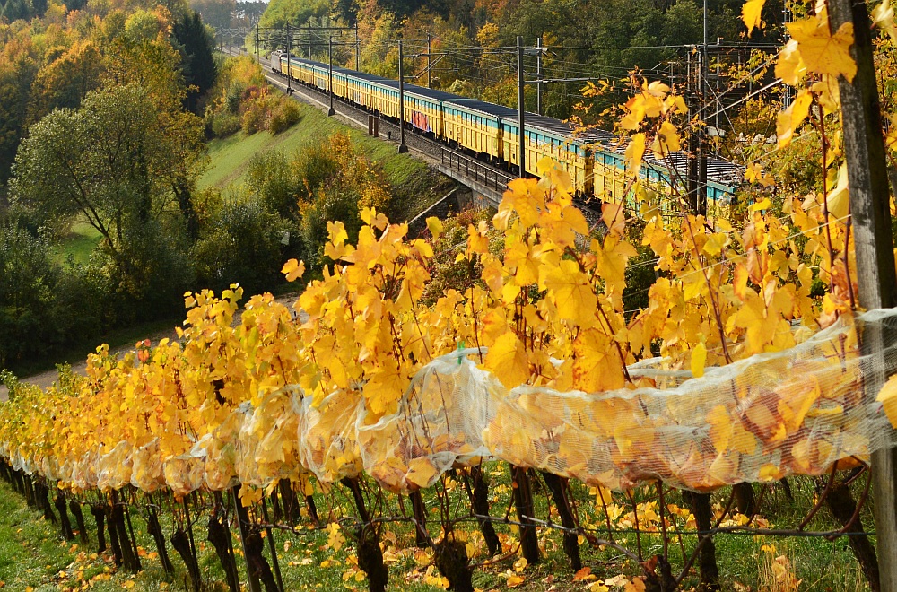 Herbstlicher Nachschuss