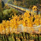 Herbstlicher Nachschuss