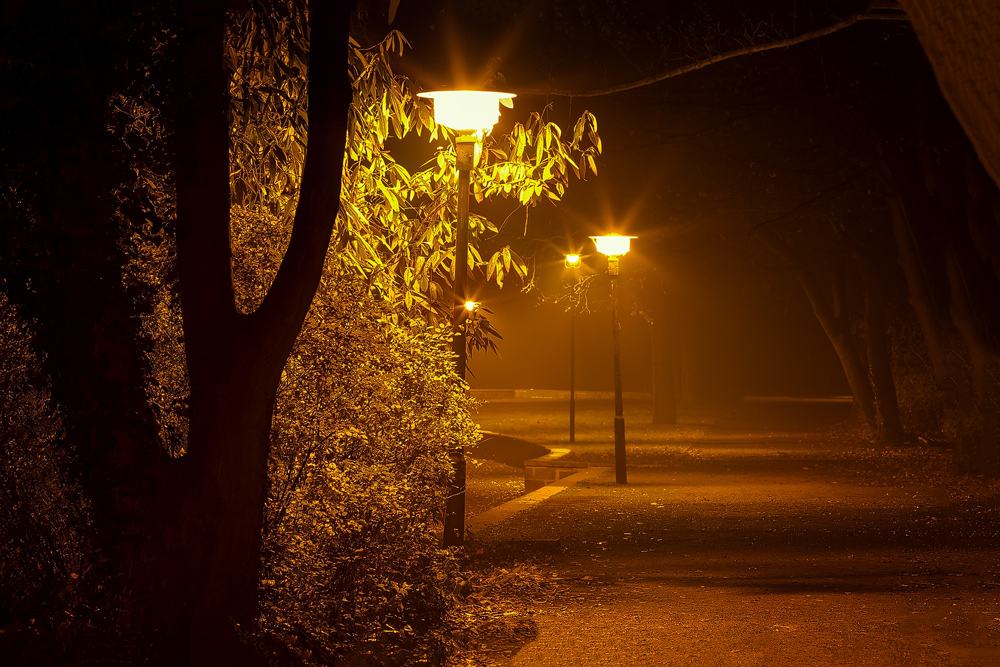 Herbstlicher Nachtspaziergang