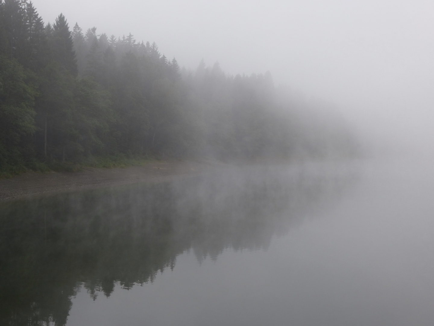 herbstlicher Nebel am Talsperrenufer Mitte August