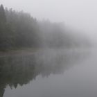 herbstlicher Nebel am Talsperrenufer Mitte August