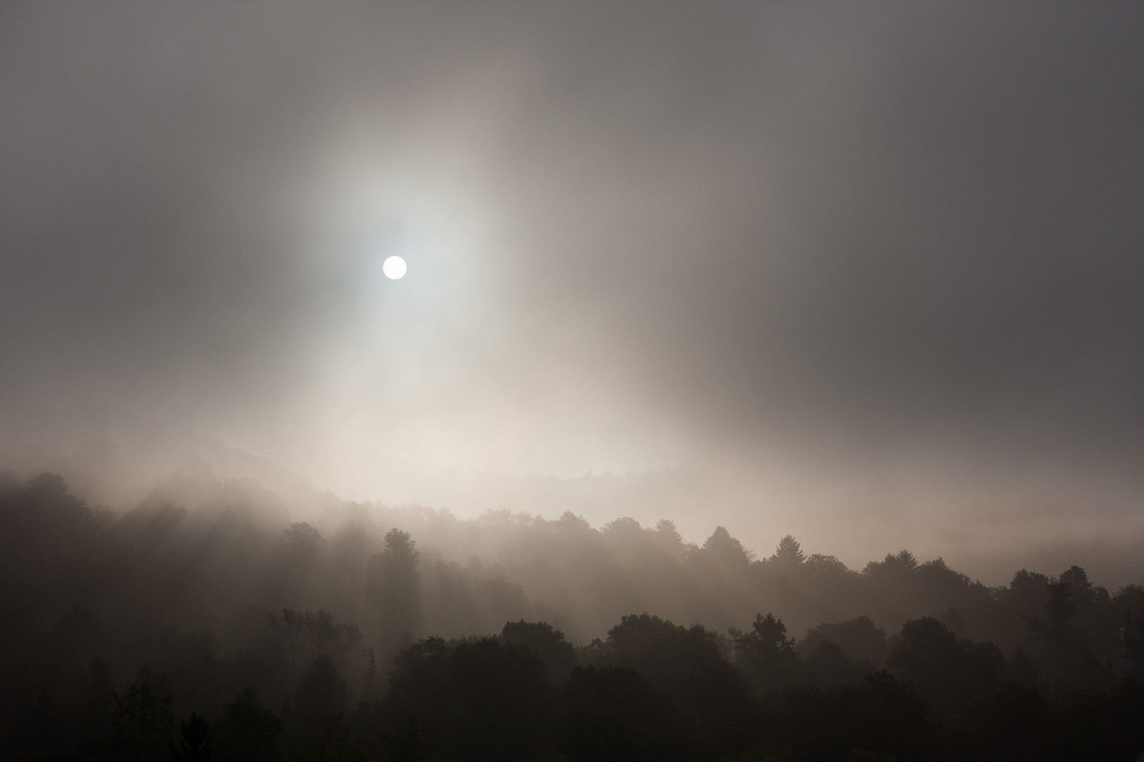 Herbstlicher Nebel in Heidelberg