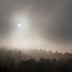 Herbstlicher Nebel in Heidelberg