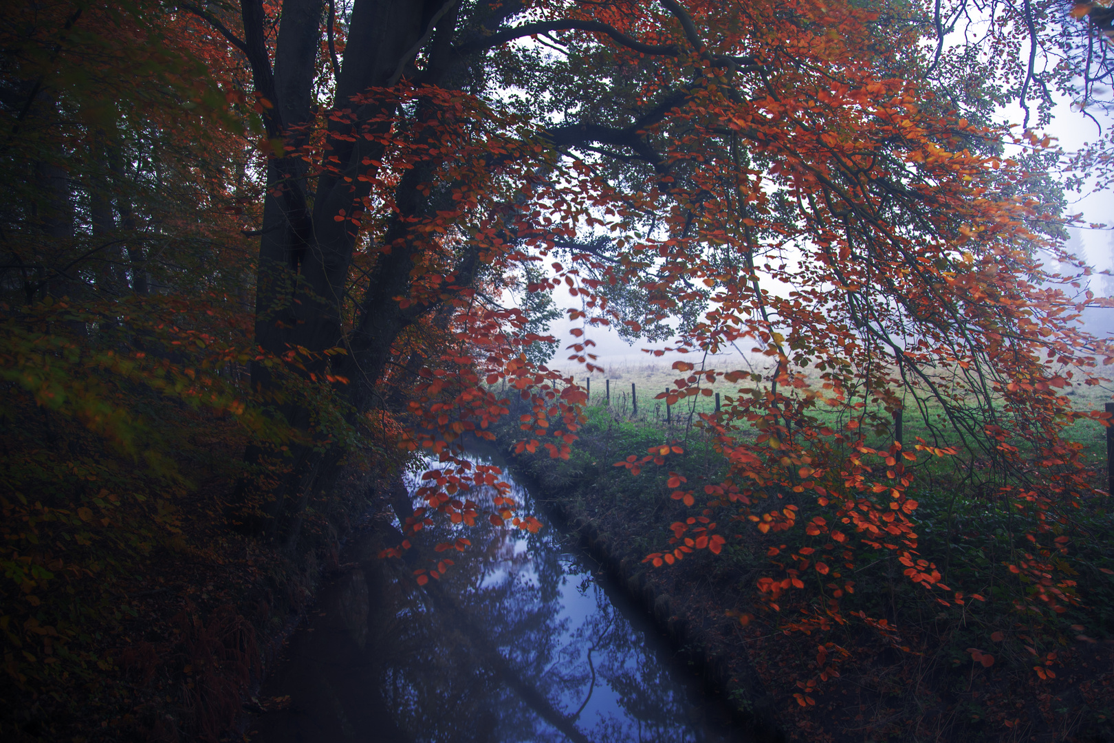 herbstlicher Nebelmorgen