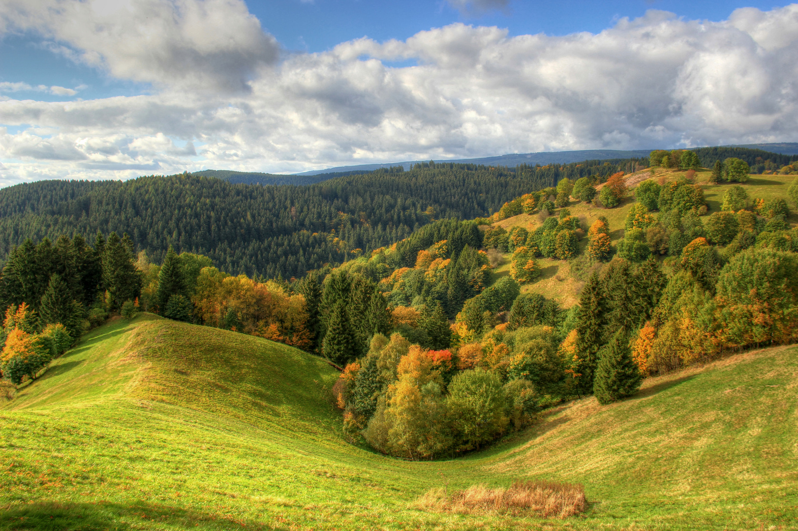 Herbstlicher Oberharz