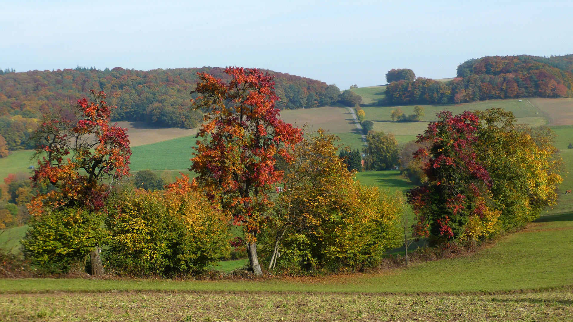 Herbstlicher Odenwald (1)