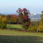 Herbstlicher Odenwald (2)