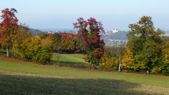 Herbstlicher Odenwald (2)