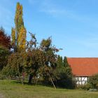 Herbstlicher Odenwald (6)