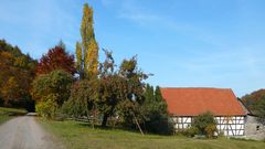Herbstlicher Odenwald (6)