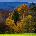 Herbstlicher Odenwald