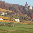 Herbstlicher Ottenberg mit Schloss Weinfelden