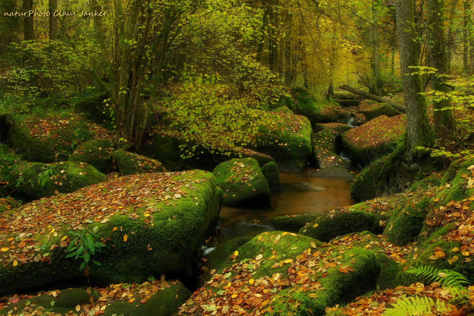 Herbstlicher Otterbach