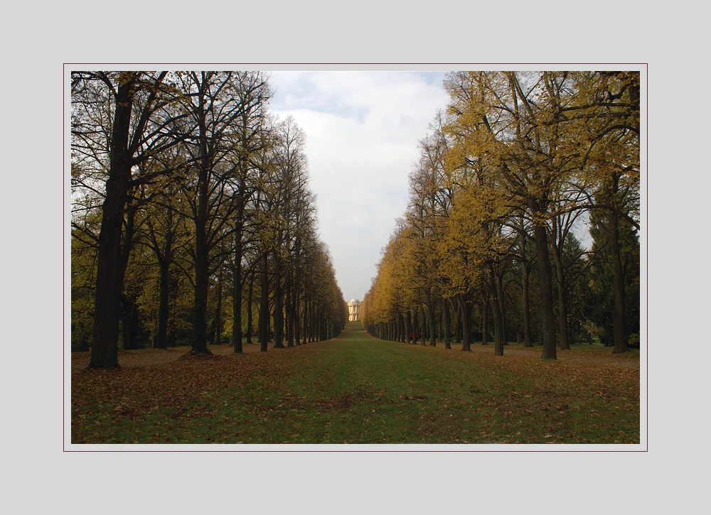 Herbstlicher Park