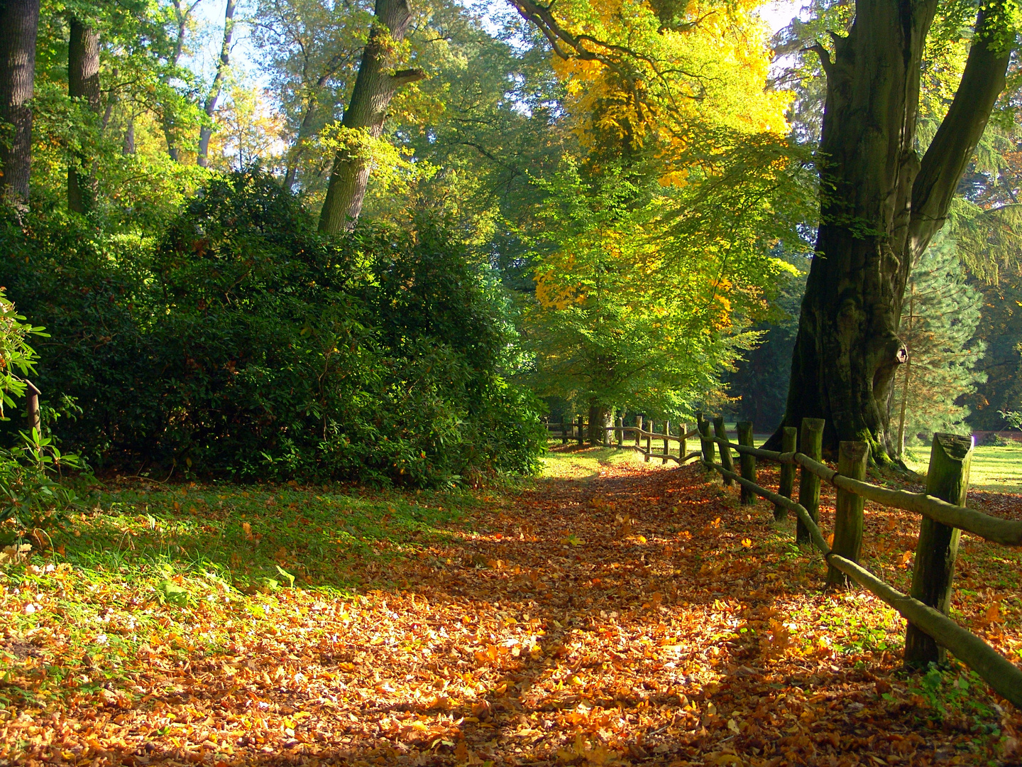 herbstlicher Park