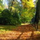 herbstlicher Park