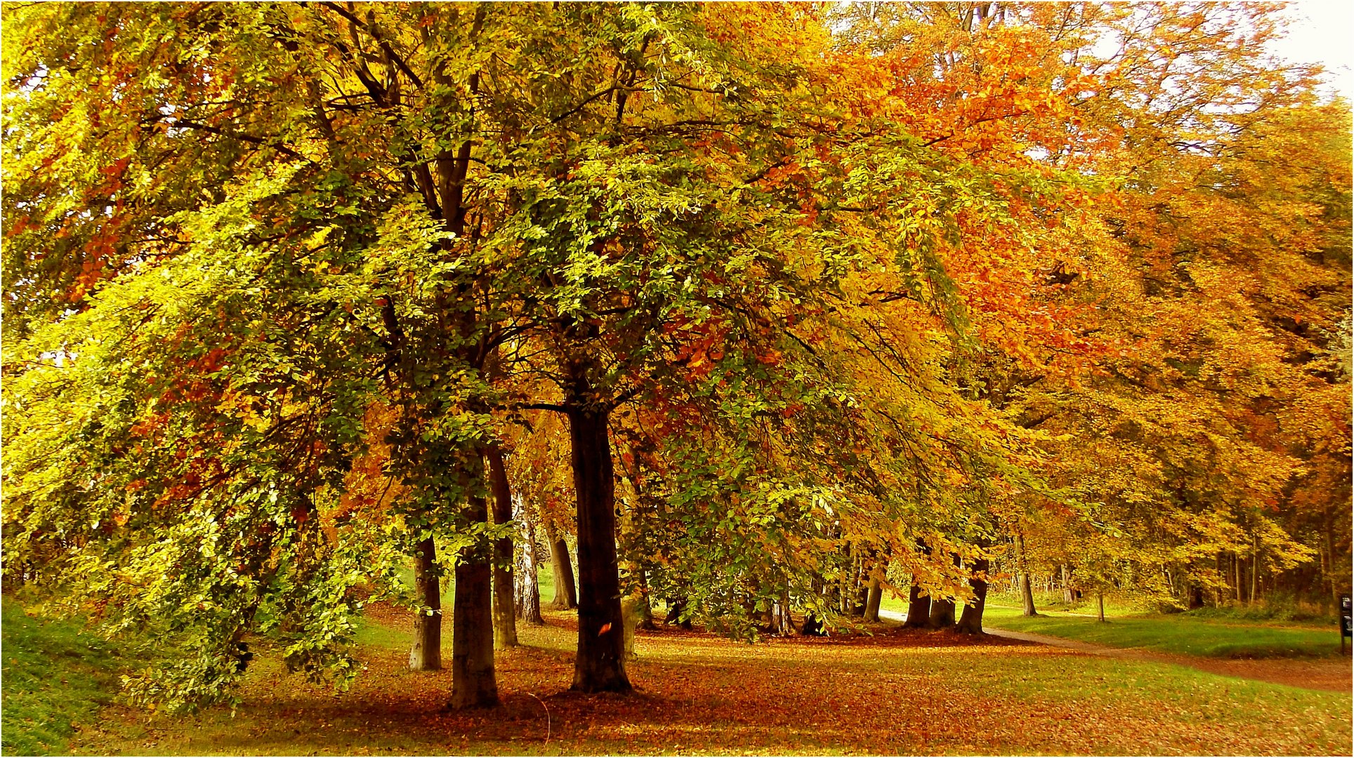 Herbstlicher Park