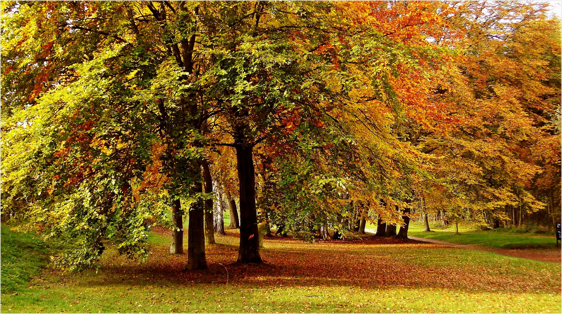 Herbstlicher Park ...