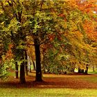 Herbstlicher Park ...