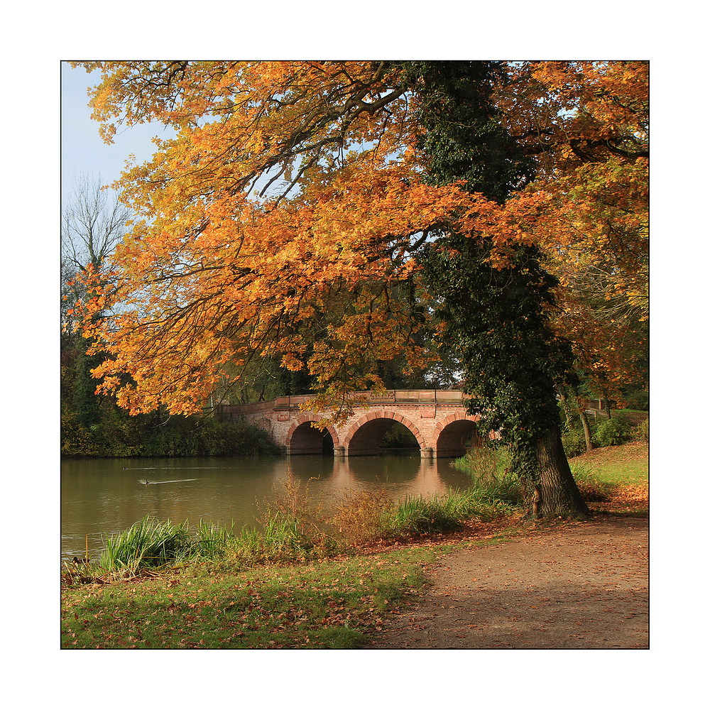 Herbstlicher Park