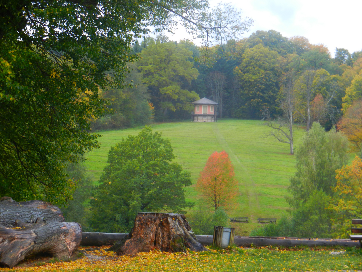 Herbstlicher Park