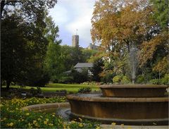 Herbstlicher Park