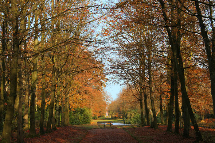 herbstlicher Park