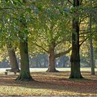 Herbstlicher Park in Moers