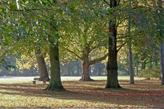 Herbstlicher Park in Moers