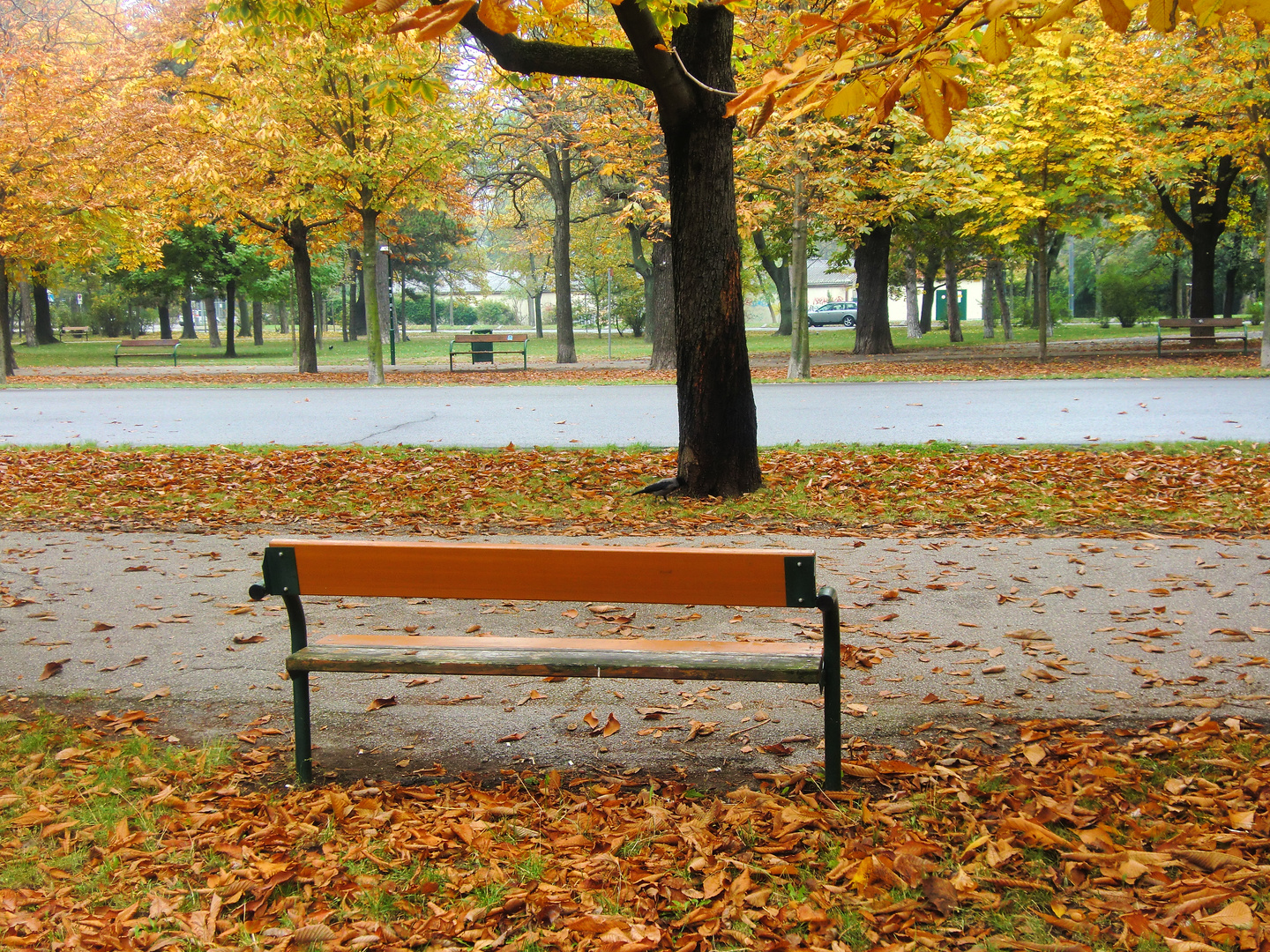 Herbstlicher Park Nähe Prater...