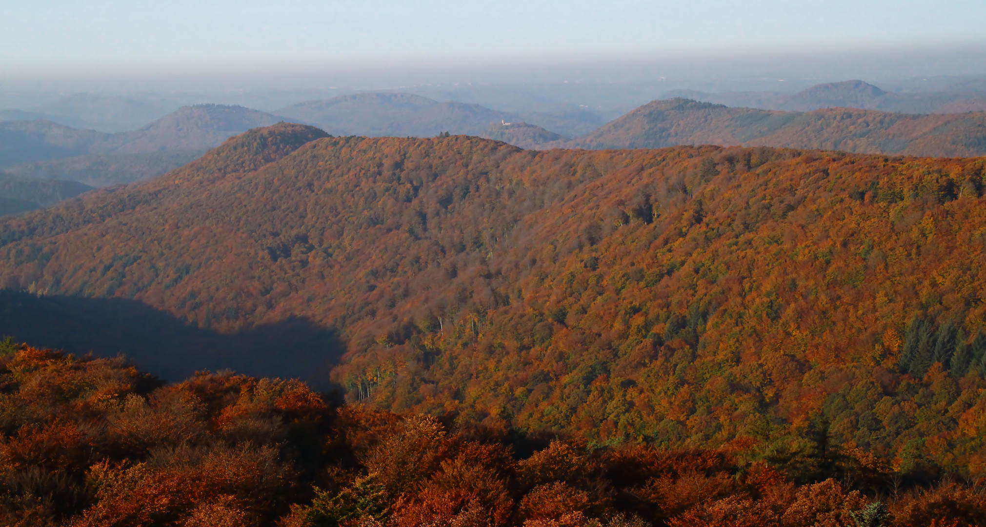 Herbstlicher Pfälzerwald