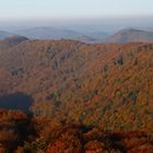 Herbstlicher Pfälzerwald