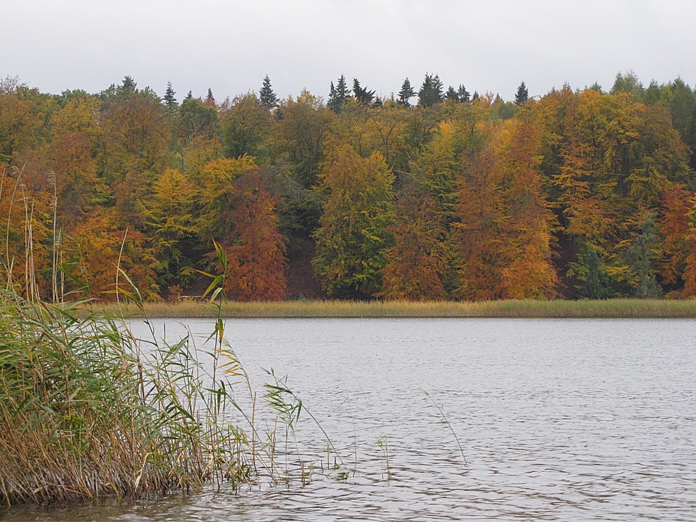 Herbstlicher Plauer See
