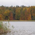 Herbstlicher Plauer See