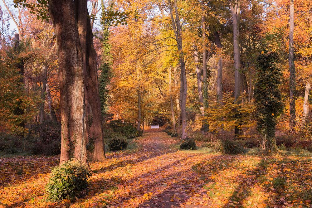 ... herbstlicher Poensgenpark ...