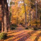 ... herbstlicher Poensgenpark ...