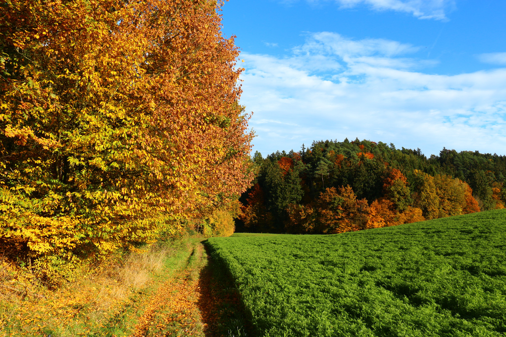 " herbstlicher Pytagoras "