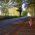 Herbstlicher Radfahrer