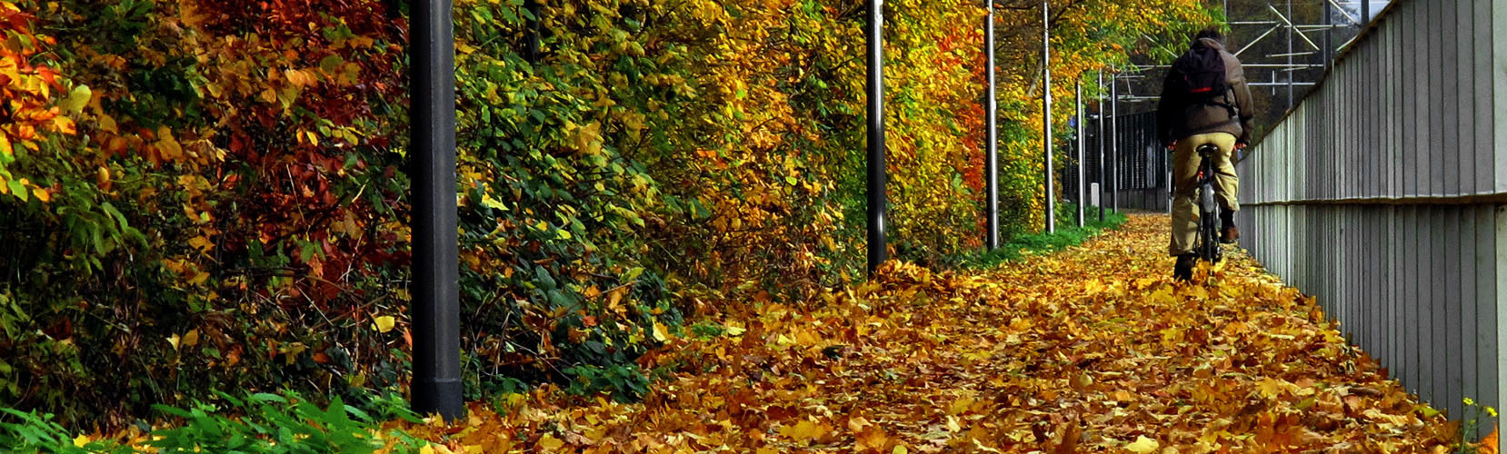Herbstlicher Radweg...