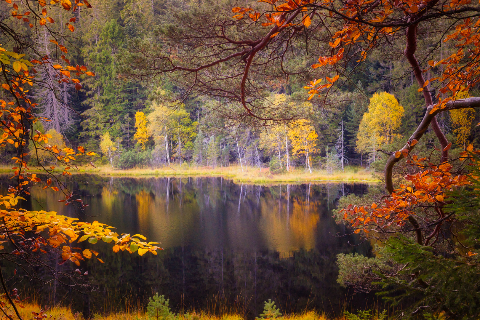 Herbstlicher Rahmen