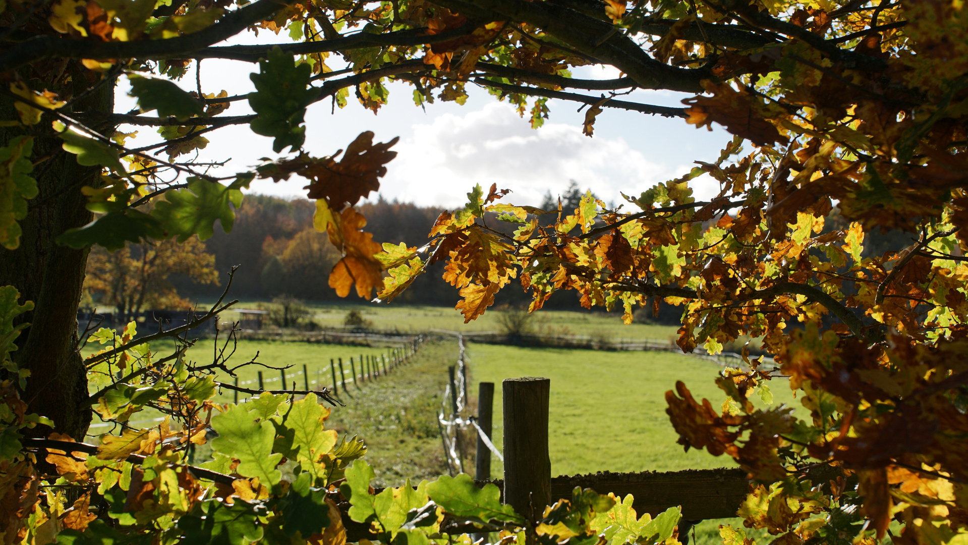 Herbstlicher Rahmen