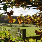 Herbstlicher Rahmen