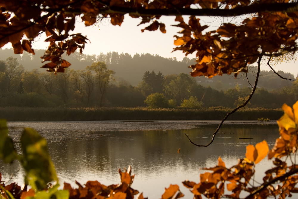 Herbstlicher Rahmen