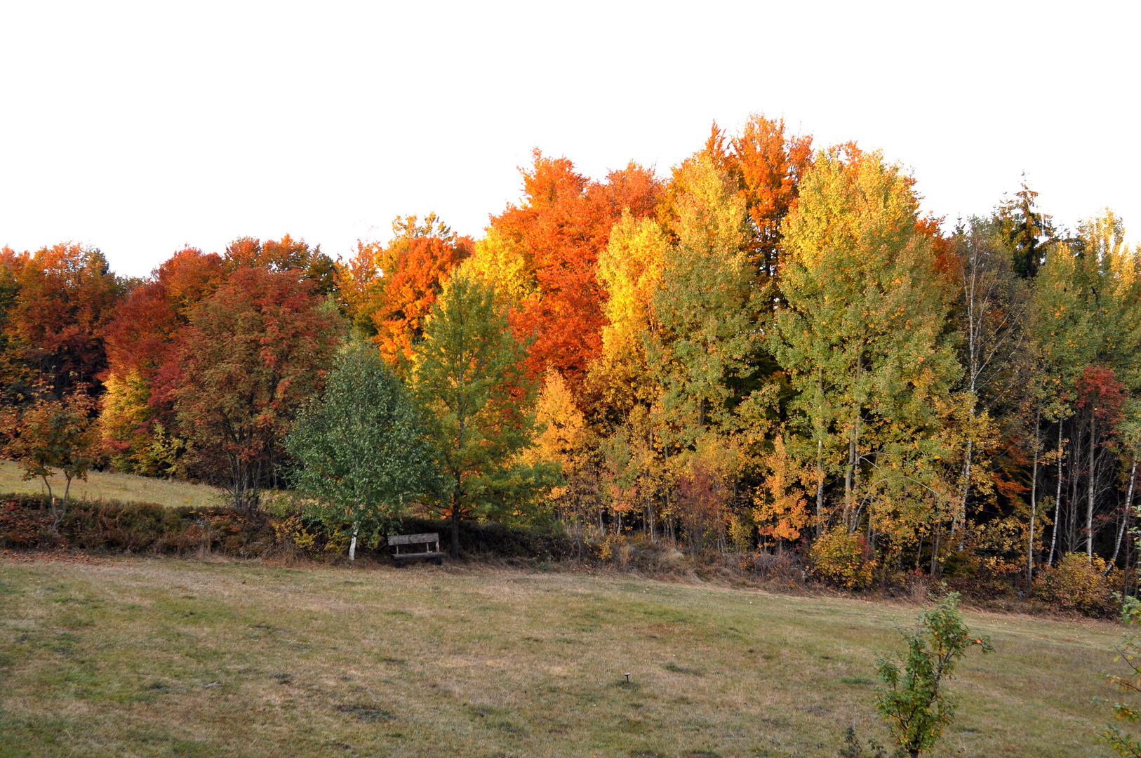 Herbstlicher Rastplatz...