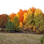 Herbstlicher Rastplatz...