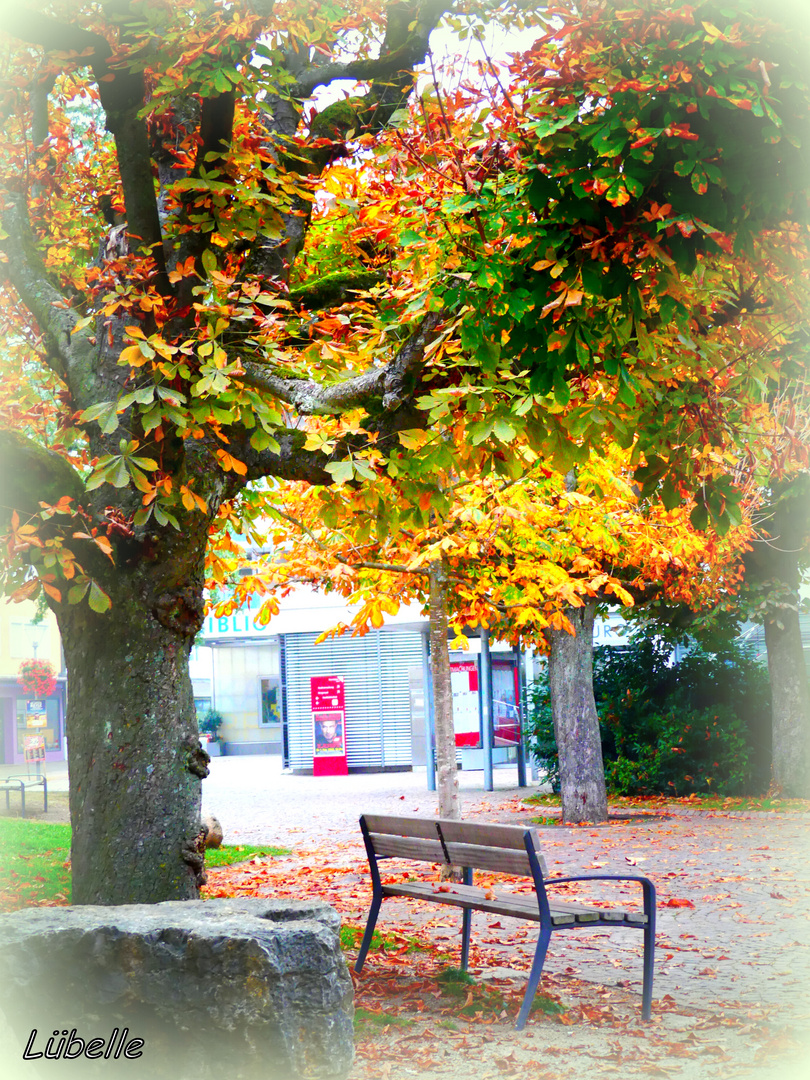 Herbstlicher Rathausplatz am Sonntag Morgen