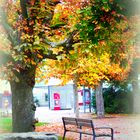 Herbstlicher Rathausplatz am Sonntag Morgen