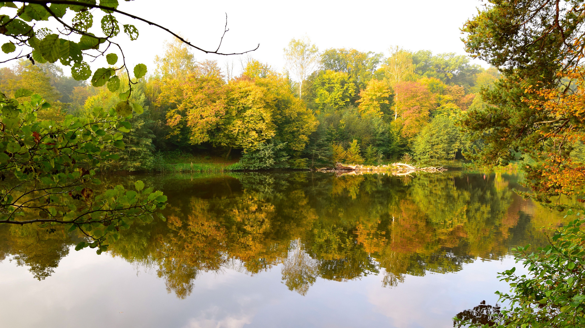 Herbstlicher Rausch der Farben