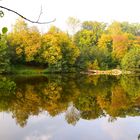 Herbstlicher Rausch der Farben